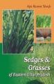 Sedges and Grasses of Eastern Uttar Pradesh in 2 Vols: Book by Singh, Ajai Kumar