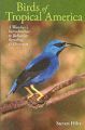 Birds of Tropical America: A Watcher's Introduction to Behavior, Breeding, and Diversity: Book by Steven L. Hilty
