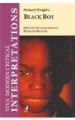 Interpretations: Black Boy: Book by Harold Bloom
