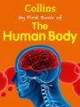 Collins - My First Book of the Human Body (English) (Paperback): Book by Collins Children Books
