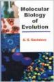 Molecular Biology Of Evolution (English): Book by A. S. Sachdeva