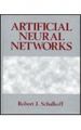 Artificial Neural Networks (English) 1st Edition: Book by Christina Ray