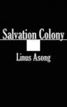 Salvation Colony: Book by Linus T. Asong