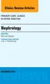 Nephrology, an Issue of Primary Care: Clinics in Office Practice: Book by Samuel Snyder