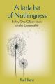 A little bit of Nothingness: Book by Karl Renz