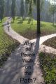 Why Do People Walk on the Path?: Book by Jim Eerie