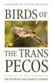 Birds of the Trans-Pecos: Book by Jim Peterson