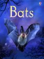 Usborne Beginners: Bats: Book by Megan Cullis