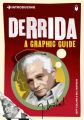 Introducing Derrida: A Graphic Guide: Book by Jeff Collins