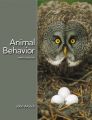 Animal Behavior: an Evolutionary Approach: Book by John Alcock 