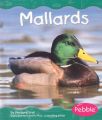 Mallards: Book by Margaret Hall