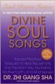 DIVINE SOUL SONGS (English): Book by Zhi Gang Sha, Dr.