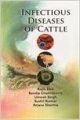 Infectious Diseases of Cattle: Book by Rajib Dev & Sandip Chakraborty & Umesh Singh & Sushil Kumar & Arjava Sharma