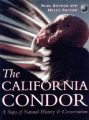 The California Condor: A Saga of Natural History and Conservation: Book by Noel F.R. Snyder