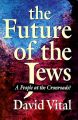 The Future of the Jews: Book by David Vital