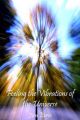 Feeling the Vibrations of the Universe: Book by Jim Eerie