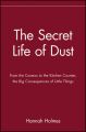The Secret Life of Dust: From the Cosmos to the Kitchen Counter, the Big Consequences of Little Things: Book by Hannah Holmes