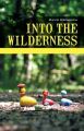 Into the Wilderness: Book by David Harris Ebenbach