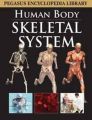 SKELETAL SYSTEM HUMAN BODY(HB): Book by PEGASUS
