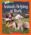 Animals Helping at Work: Book by Ann O Squire