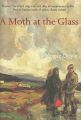 A Moth at the Glass: Book by Mogue Doyle
