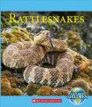 Rattlesnakes: Book by Josh Gregory