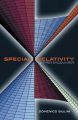 Special Relativity - A First Encounter: 100 Years Since Einstein: Book by Domenico Giulini