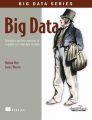 Big Data : Principles and Best Practices of Scalable Real - Time Data Systems (English) (Paperback): Book by Nathan Marz, James Warren