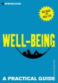 Introducing Well-being: A Practical Guide: Book by Patricia Furness-Smith