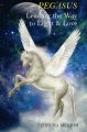 Pegasus: Leading the Way to Light & Love (English) (Paperback): Book by Tehruna Meresh
