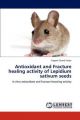Antioxidant and Fracture Healing Activity of Lepidium Sativum Seeds: Book by Yogesh Chand Yadav