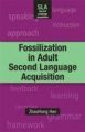 Fossilization in Adult Second Language Acquisition (English)