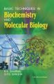 Basic Techniques in Biochemistry and Molecular Biology: Book by R. K. Sharma