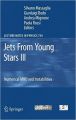 Jets from Young Stars III: Numerical Mhd and Instabilities (Hardcover): Book by G Bodo