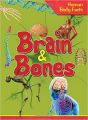BRAIN & BONES: Book by Om Books International