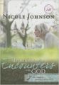 Dramatic Encounters with God: Seven Life-Changing Lessons of Love (Women of Faith) (English) (Hardcover): Book by Nicole Johnson