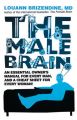 The Male Brain: Book by Louann Brizendine