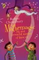 Mathemagic 2: Book by Rohini Chowdhury