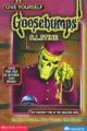 Goosebumps: Checkout Time At The Dead End Hotel (English) (Paperback): Book by R L STINE