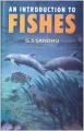 An Introduction to Fishes, 2012 (English) 01 Edition (Paperback): Book by G. S. Sandhu
