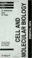 Cell And Molecular Biology Essential Data  1/e (English) 1st Edition (Paperback): Book by Rickwood