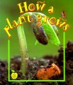 How a Plant Grows: Book by Bobbie Kalman