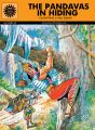 The Pandavas In Hiding (593): Book by SUBBA RAO
