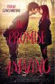 The Promise of Amazing: Book by Robin Constantine
