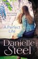 Perfect Life (English): Book by Danielle Steel