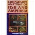 Comparative Anatomy of Fish and Amphibia, 2005 (English) 01 Edition: Book by Shailendra Singh