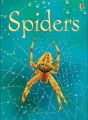 Usborne Beginners: Spiders: Book by Rebecca Gilpin