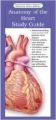 ANATOMY OF THE HEART STUDY GUIDE: Book by Anatomical Chart Company