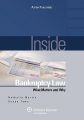 Inside Bankruptcy Law: What Matters and Why: Book by Martin