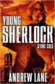 Young Sherlock Holmes 7: Stone Cold : Book by Andrew Lane